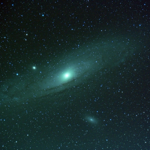 M31