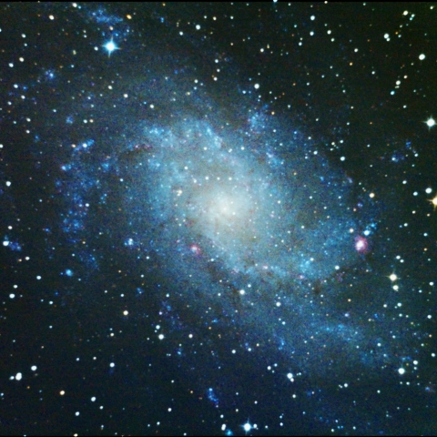 M33