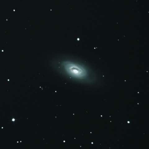 M64