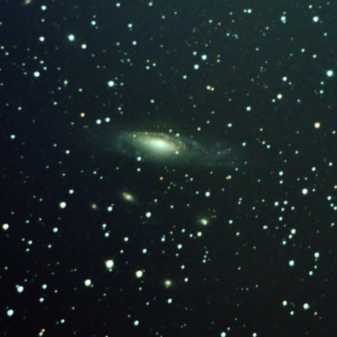 NGC7331