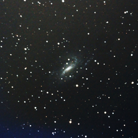 NGC925