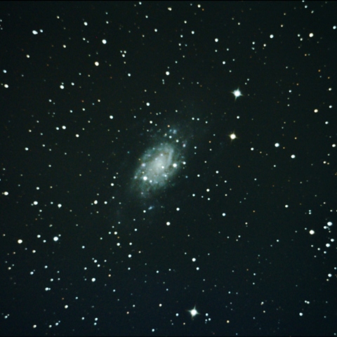 NGC2403