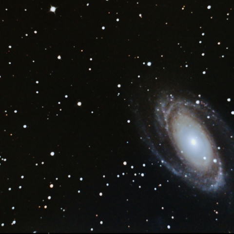 M81
