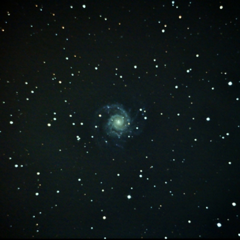 M74