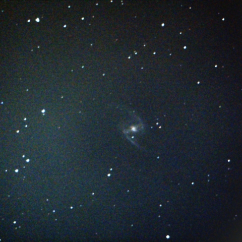 NGC1365