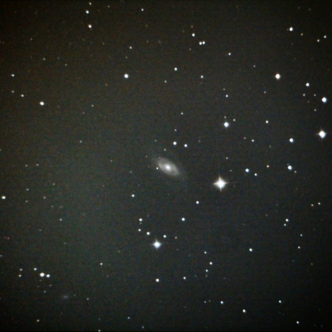 NGC1350