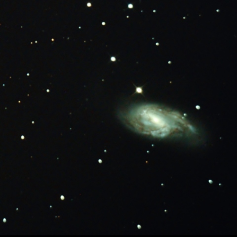 M66