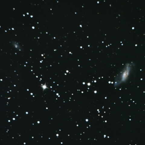 NGC2146