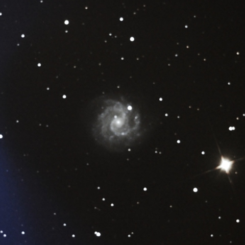 NGC3184