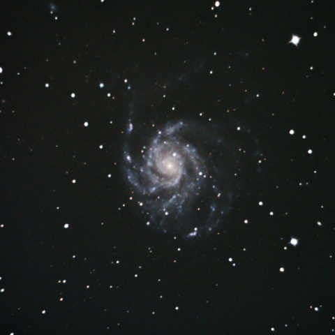M101