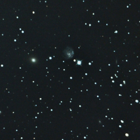 NGC2276
