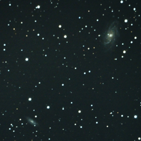NGC2336