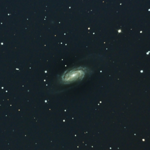 NGC2903