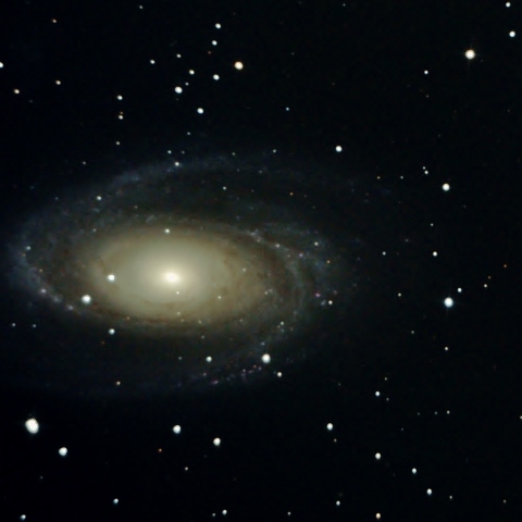 M81