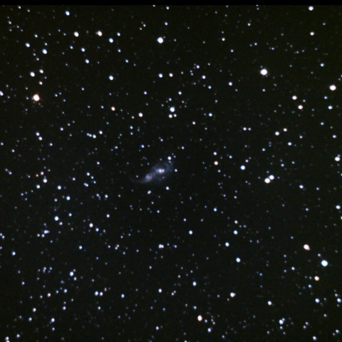 NGC2207