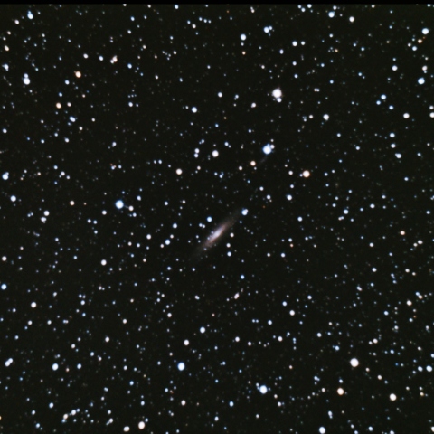 NGC2613