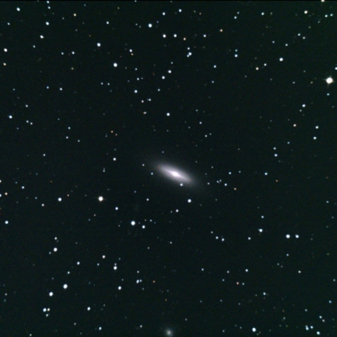 NGC3115