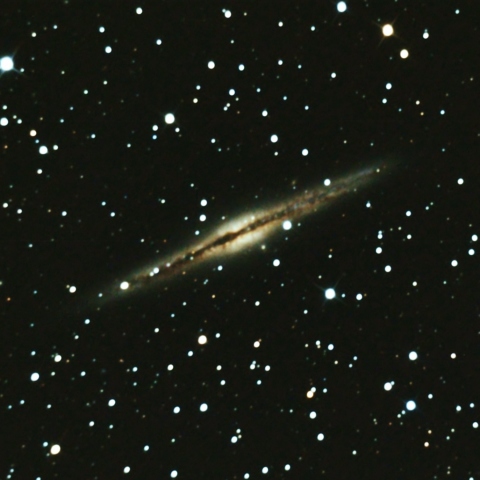 NGC891
