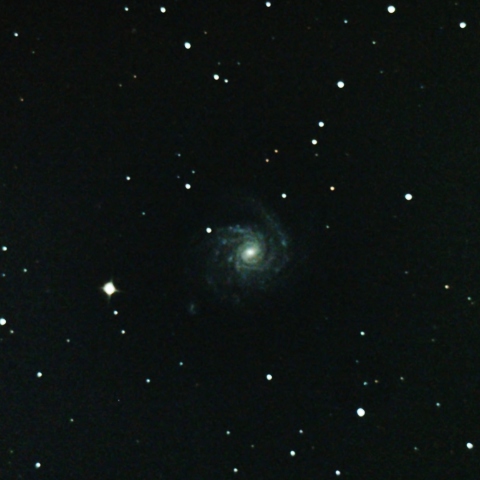 NGC1232