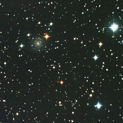 IC239