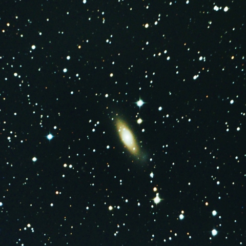 NGC1023