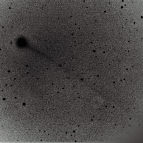 本田・ムルコス・パイドゥシャーコヴァー彗星