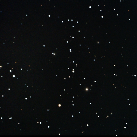NGC1016