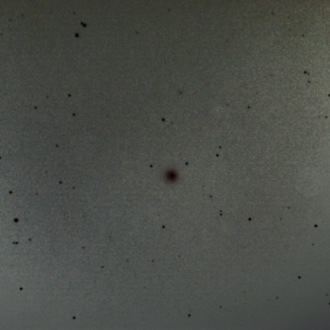 17.02.19 エンケ彗星