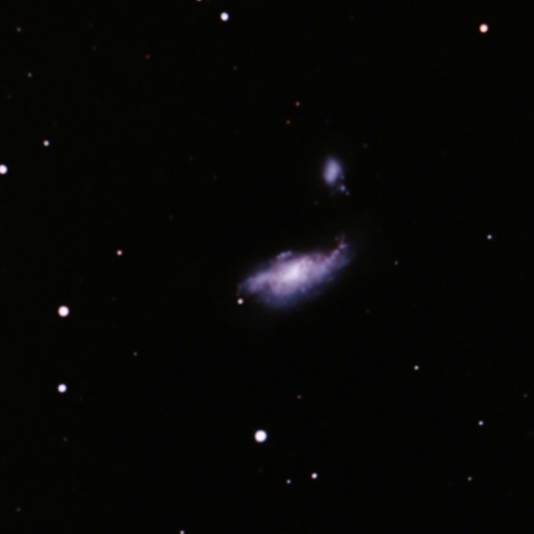 NGC4490 & 4485