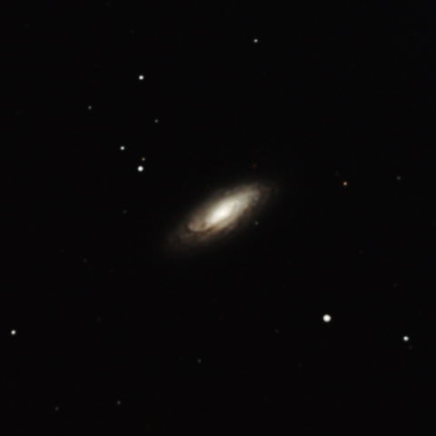 NGC5005