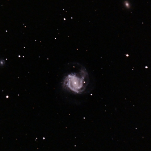 M61