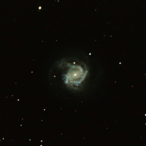 M61