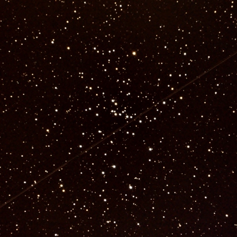 M48
