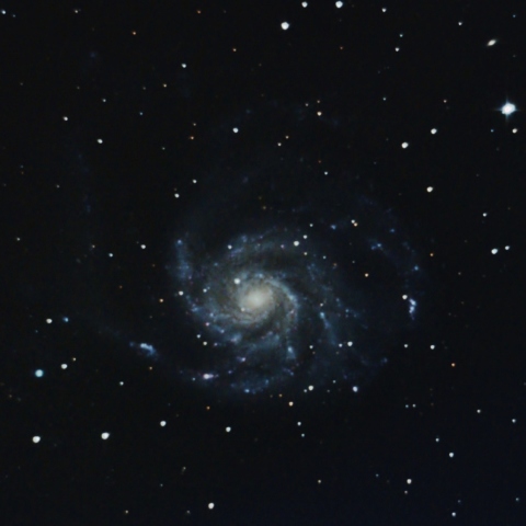 M101
