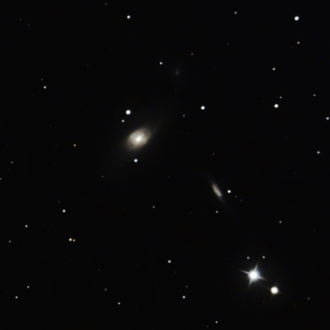 NGC5566