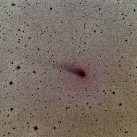 ジョンソン彗星2017.03.09