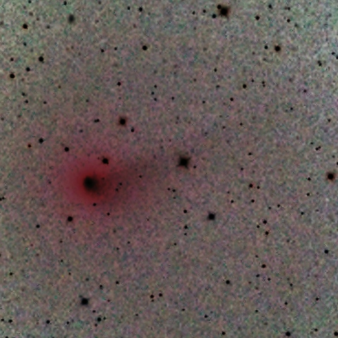 ジョンソン彗星（反転）