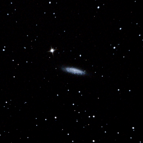 NGC6503