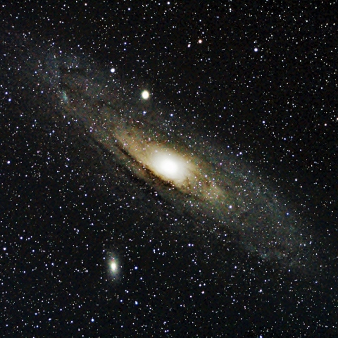 M31