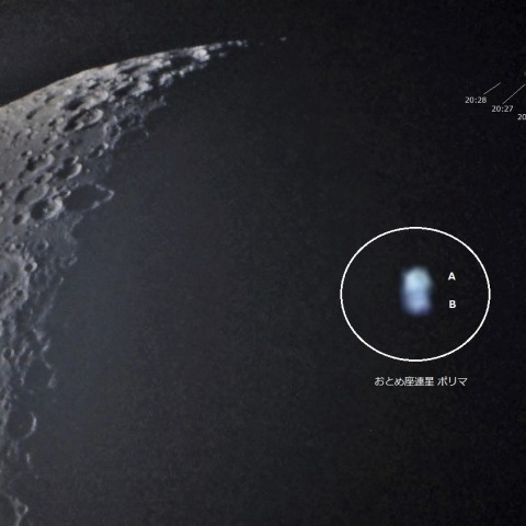 おとめ座ポリマ食