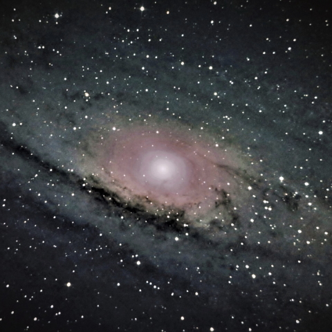M31