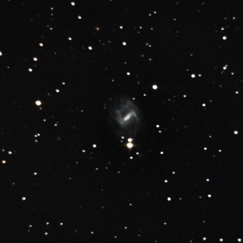 NGC7741