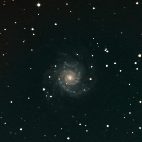 M74