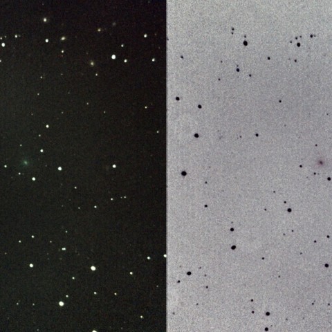 ショーマス彗星