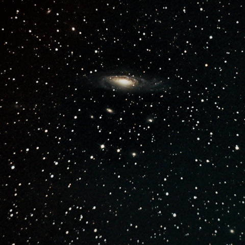NGC7331