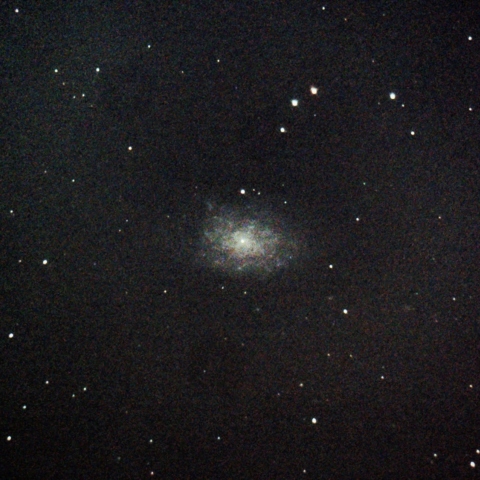 NGC7793