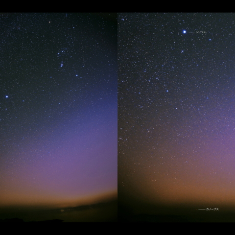 りゅうこつ座カノープス
