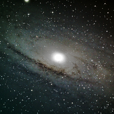 M31