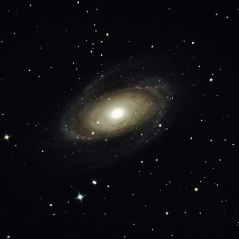 M81