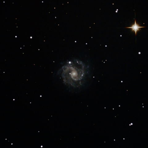 NGC3184